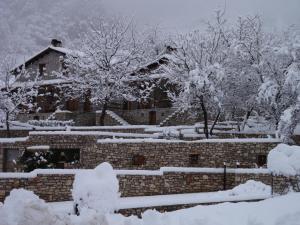 Petrina Theohari Achaia Greece