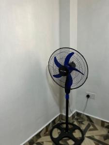 SofWilkens Homes Mirema Drive