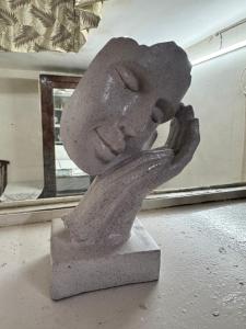 South Delhi,AC,WiFi,4K Smart TV