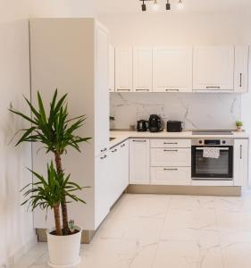 Malvina Apartments Cazare Mures