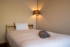 Green Dream House -5 mins drive to ski field-