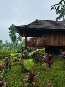 Dopi Rinjani Homestay