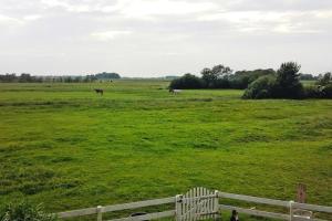 Apartments, Toenning
