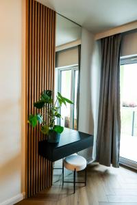 Apartament Szałwiowy i Ceglany z pięknym widokiem na miasto