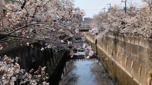 Brand New Apt! 7 Mins to Ikebukuro, Local Vibe Rino Verdi