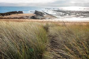 Seaside Cottage - Elie