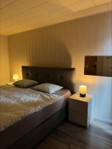 zentrale Ferienwohnungen in Frutigen