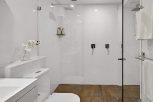 Redfern Penthouse - Stunning CBD views and Parking