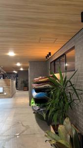 Studio Design 3 Lions