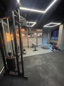 Studio Design 3 Lions