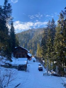 Котеджі Сім Вітрів