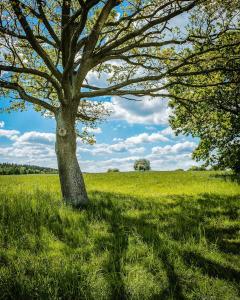 Historic Country House In Secluded Nature