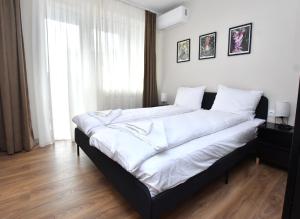 Contemporary Homes with Balcony