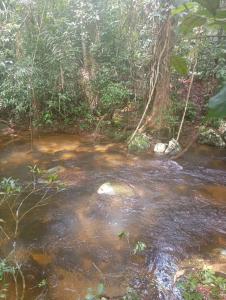 Suite e Natureza Samsarah