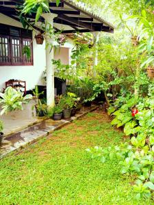 Nimsara Villa Hikkaduwa