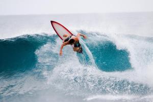 Bibee Surf