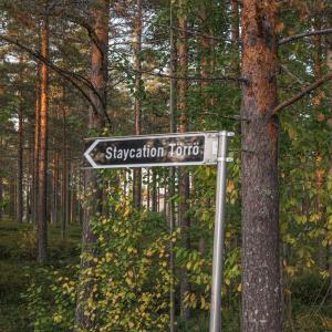 Staycation Törrö Kappalainen as 8