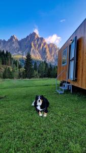 Vivere linverno tra i prati di Sappada