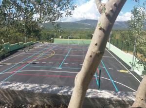 Villa Popovića dvori