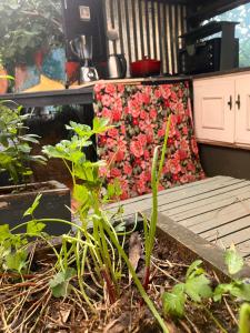 DomosdeMar a 100 mts del mar