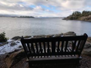 Costa de Lago - Cullelafquen