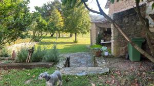 El Ventador de la Torra