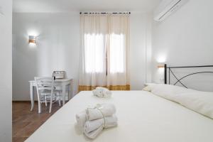 Euforbia Complex img18