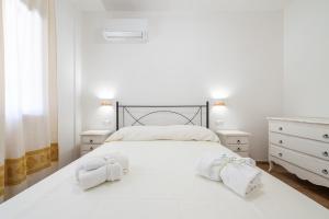 Euforbia Complex img16