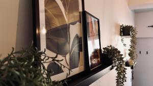 Juni - Climatisé & Balconnet