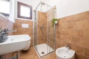 Euforbia Complex img23