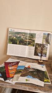 Quinta Sarnadela - Spacious 3 bedroom house with mountain view