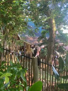 Fler Payanke Apartment