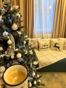 Apusenity- Refugiu modern în inima naturii, aproape de Cluj