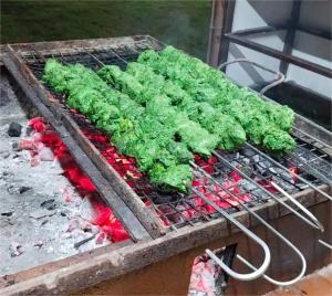 The Whistling Pine Woods