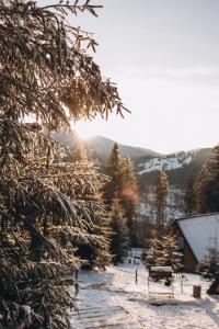 УЛІС Ворохта