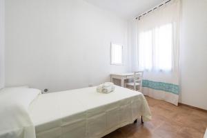 Euforbia Complex img22