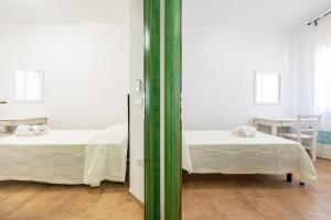 Euforbia Complex img31