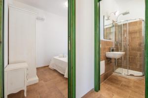 Euforbia Complex img37