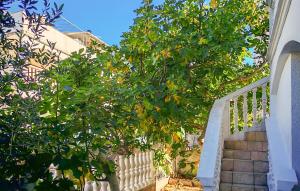 Gorgeous Apartment In Vodice With Wifi