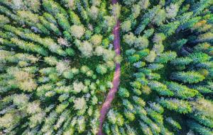 3 Bedroom Cozy Home In Lesjöfors