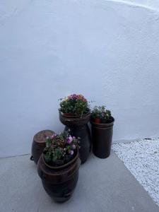 Dadok Hanok Comfort and Calm in the Heart of Seoul