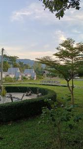 Mountain Deer Resort & Camping