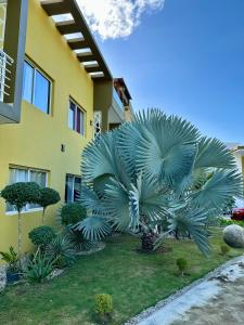 Tonys paradise hotel