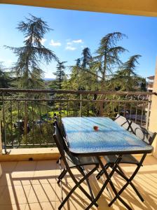 Appartement avec Terrasse et parking en centre ville dUzès