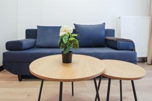 Wish of a Day - central