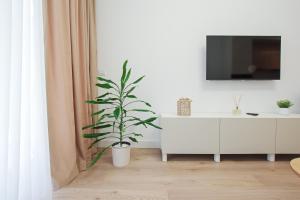 Wish of a Day - central