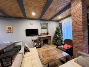 Cottage Mountain Dew in Bakuriani