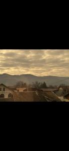 Cozy Central Apartment 2