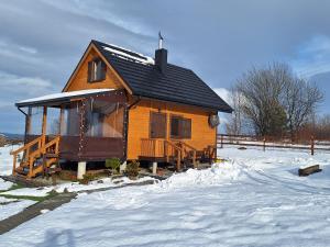Domek całoroczny Hanka 32 - jacuzzi, sauna, altana i grill