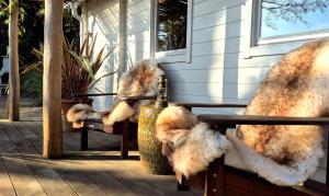 CoCo Cabin Luxe Tiny House - Privé Hottub - Strand & zwemvijver - Privacy